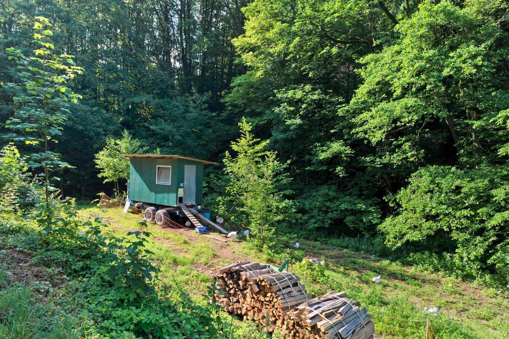 Ferienwohnung Am Hirschfelsen 불러탈 외부 사진